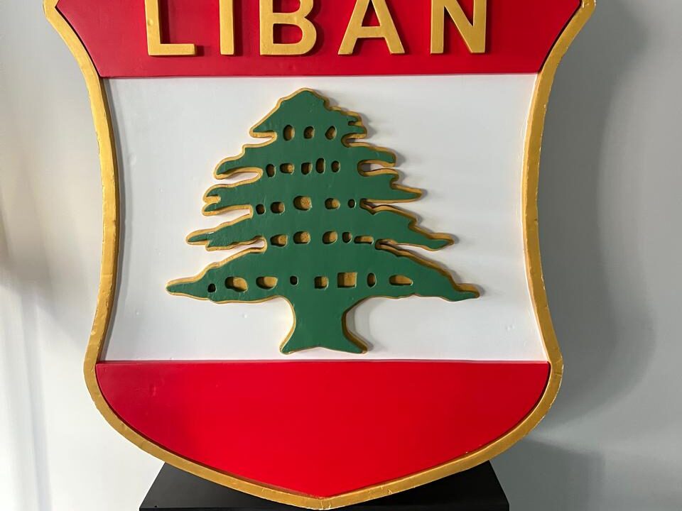 الإتحادات الرياضية هيئات مستقلّة ولم تمنح بيراقداريان التدخل السافر في الإنتخابات الأولمبية