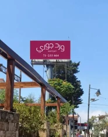 من الجبل إلى قلب السياحة: “ورد جوري” علامة النصر في عاليه!